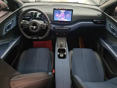 BYD Seagull
