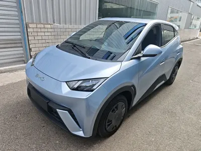 BYD Seagull