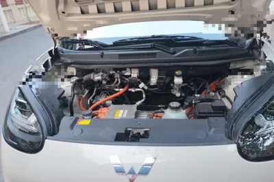 Wuling Bingo