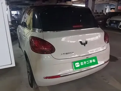 Wuling Bingo