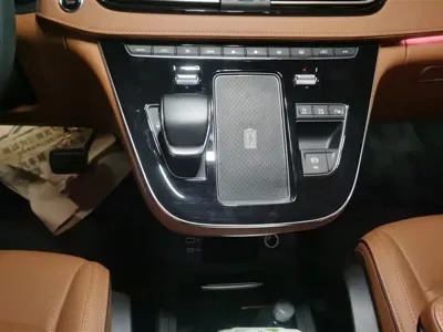 Hongqi Hongqi H9