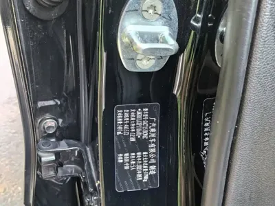 GAC Motor Shadow Leopard
