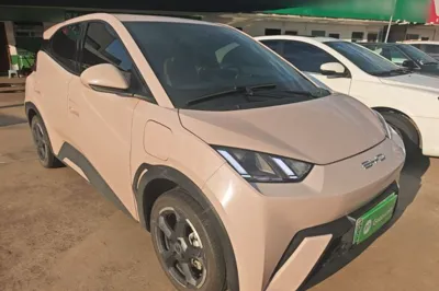 BYD Seagull