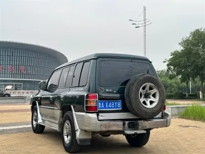 Leopaard Black King Kong