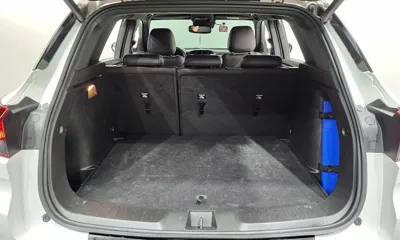 ChevroletGMDaewoo Trailblazer