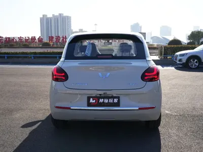 Wuling Bingo
