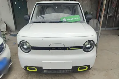 Geely Galaxy Panda