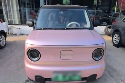 Geely Galaxy Panda