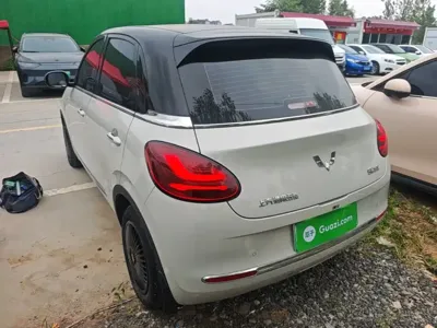Wuling Bingo