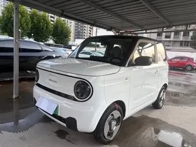 Galaxy Panda