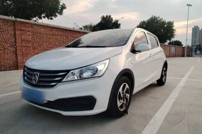 Baojun 310