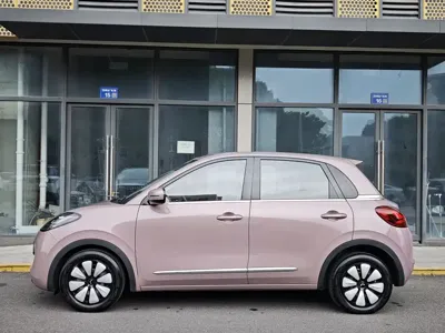 Wuling Bingo