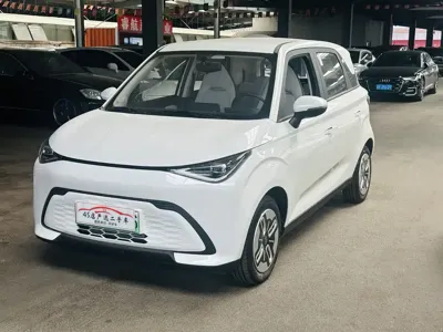 奇瑞QQ 多米