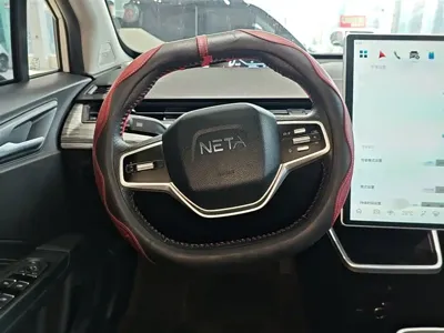 NETA Neta V
