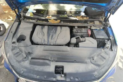 BYD Song Max