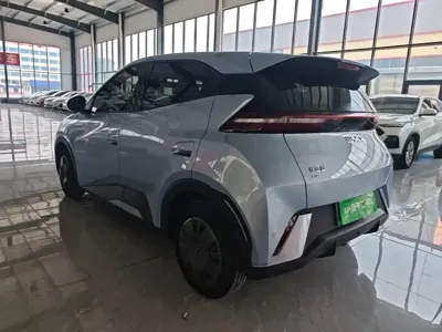 BYD Seagull
