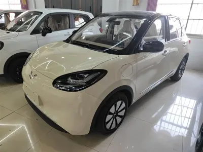 Wuling Bingo