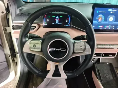 BYD Seagull