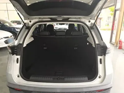 BAIC X7