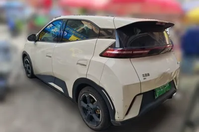 BYD Seagull
