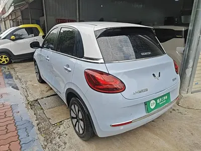 Wuling Bingo