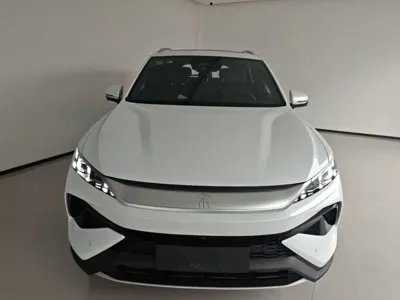 BYD Pro New Energy