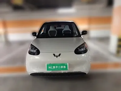 Wuling Bingo