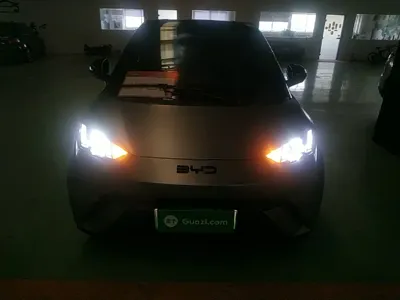 BYD Seagull