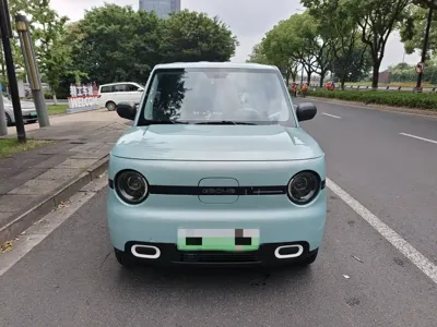 Galaxy Panda