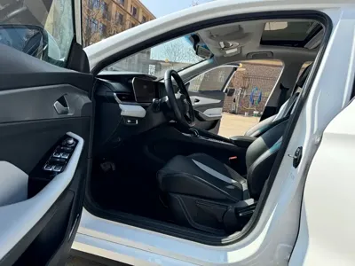 Geely Binrui