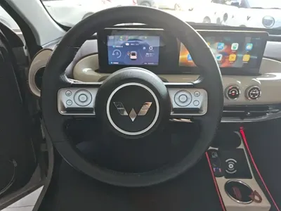Wuling Bingo