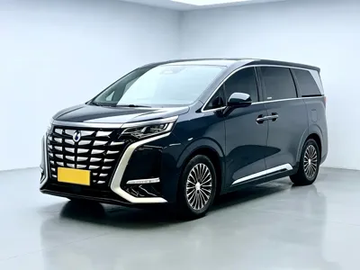 Denza Denza D9