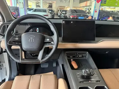 BYD Pro New Energy