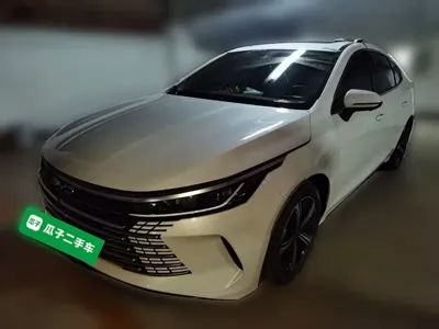 BYD Destroyer 05