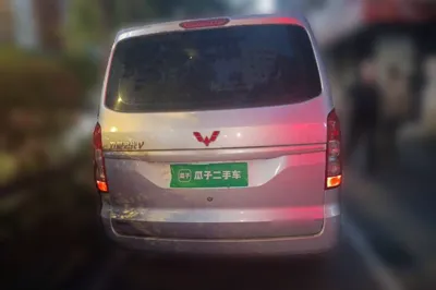 Wuling Hongguang V