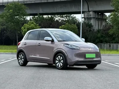 Wuling Bingo
