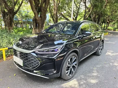 BYD Tang New Energy