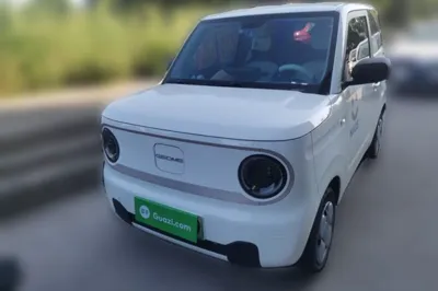 Geely Galaxy Panda