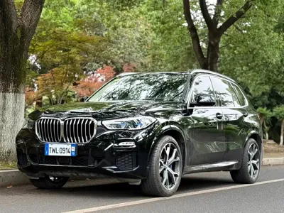 BMW X5 (Import)