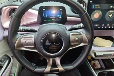 BYD Dolphin