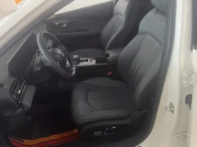 GAC Motor Shadow Leopard
