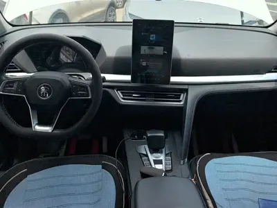 BYD Pro