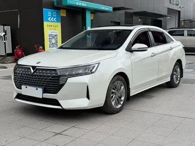 Venucia D60