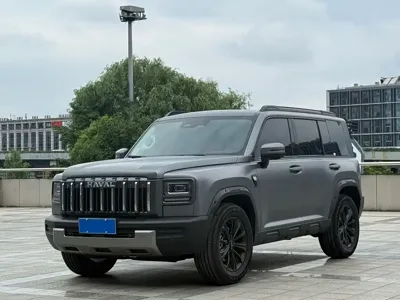 Haval 哈弗猛龙燃油