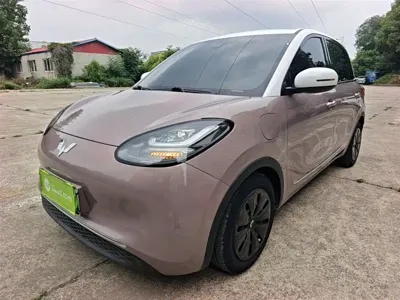 Wuling Bingo