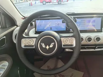 Wuling Bingo