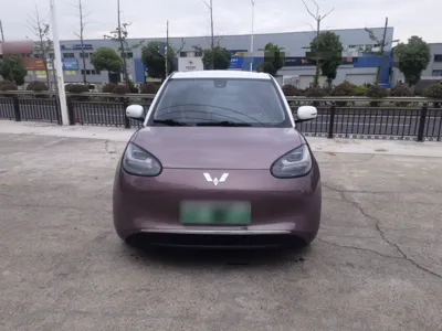 Wuling Bingo