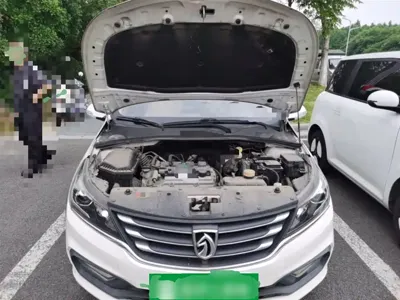 Baojun 310W