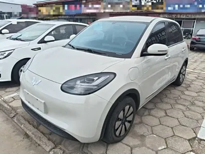 Wuling Bingo