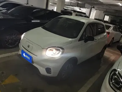 Leapmotor Leapmotor T03